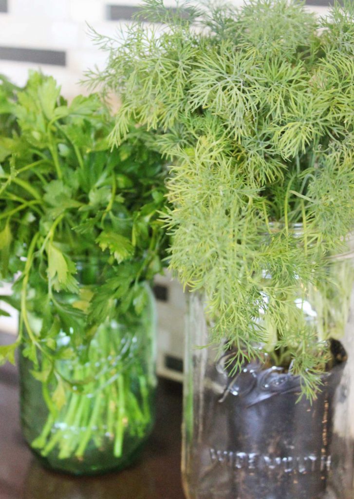 Herbs always look pretty. If I had an Ina Garten budget I would have them in my kitchen all the time, whether I needed to cook with them or not. I forget to water things, so it would be a costly decor item.