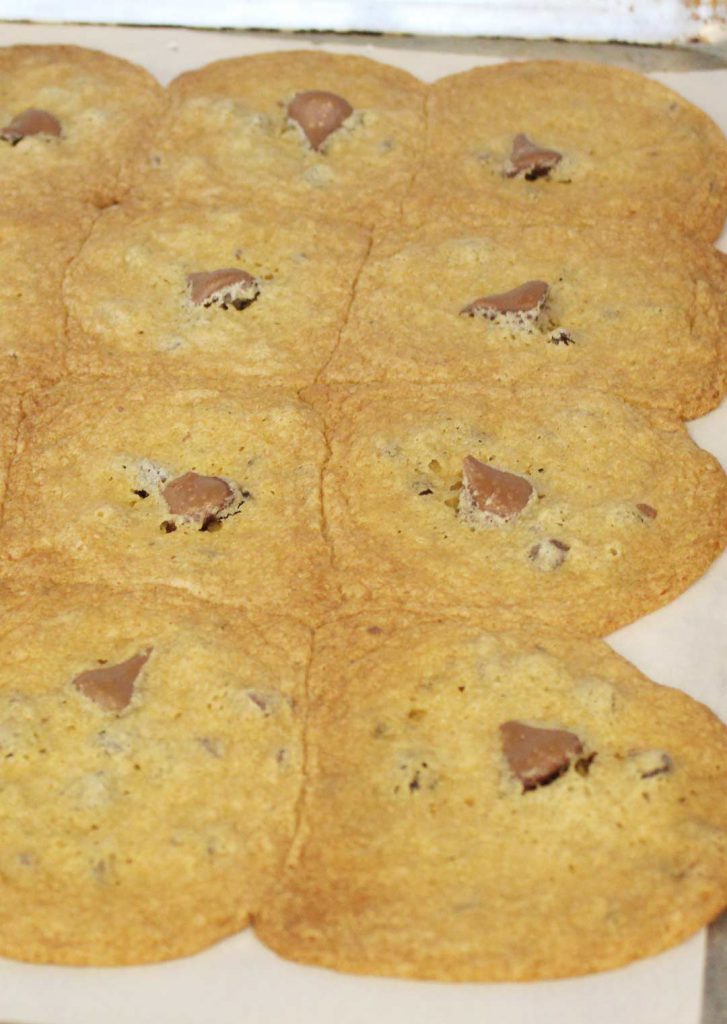 If you baked these off right away without letting the dough sit and get married, this is what you may end up with. Beware. space those cookies far apart. I tried doing 12 on this pan. I already learned the lesson for all of us. But still totally delicious, just not as purdy. 